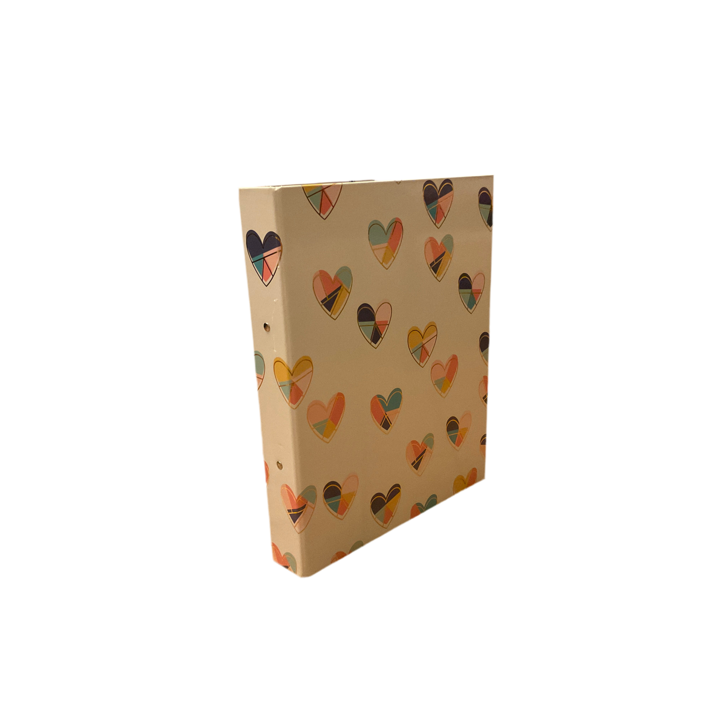A4 Pukka Pad Ring Binder