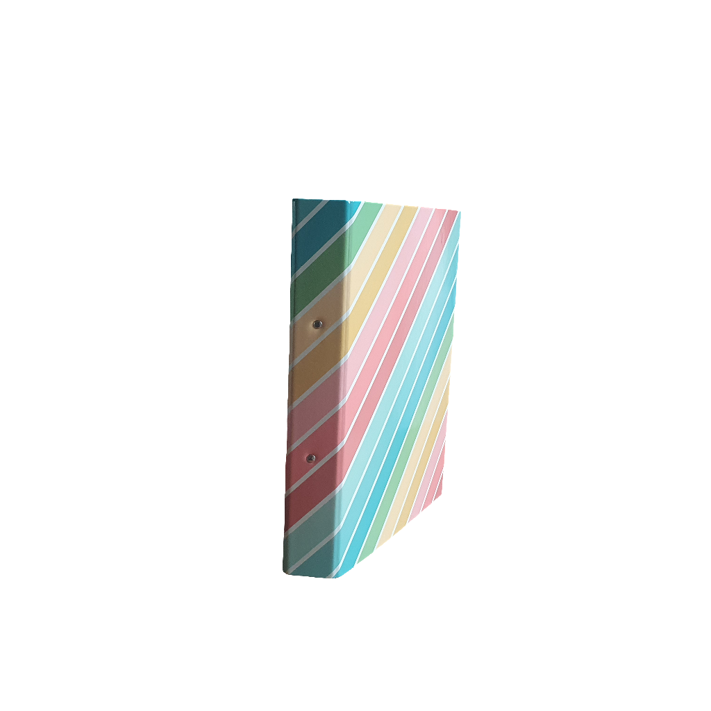 A4 Pukka Ring Binder