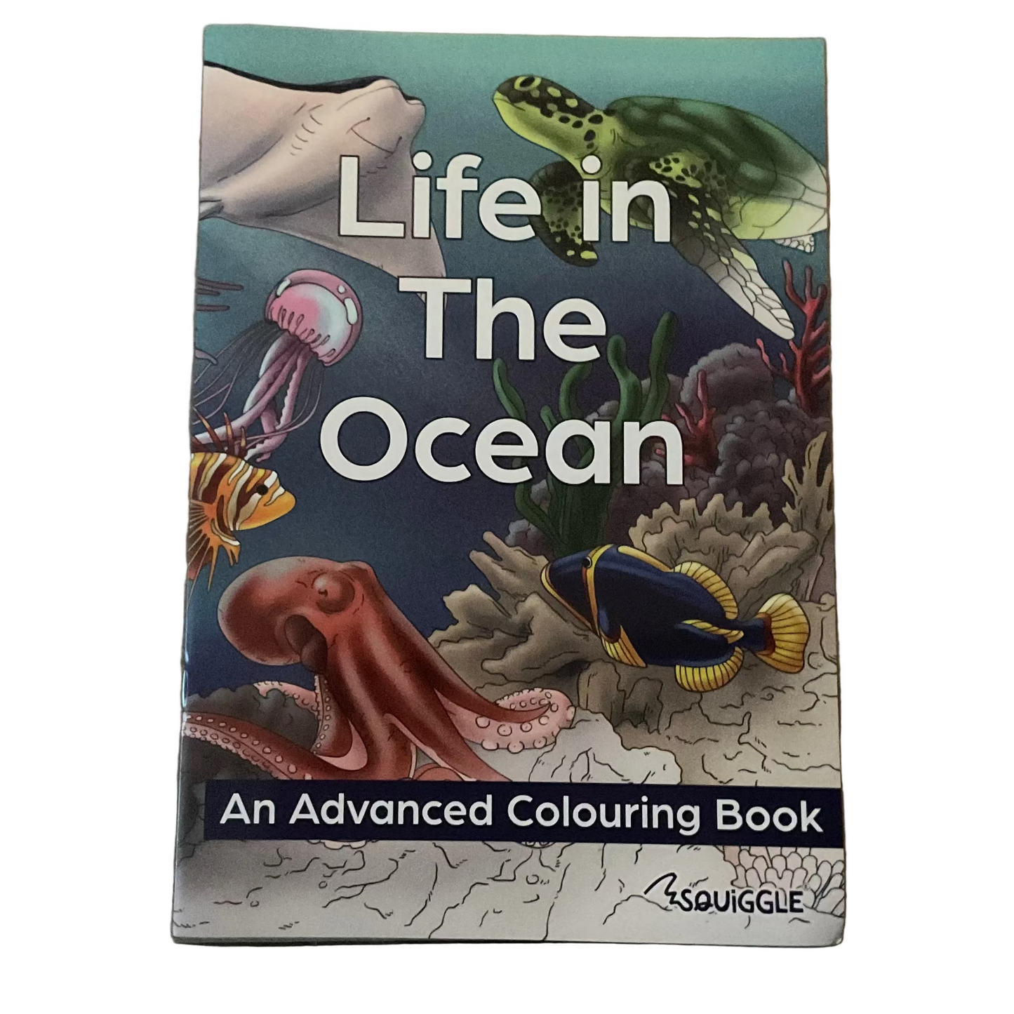 Advanced scene colouring book