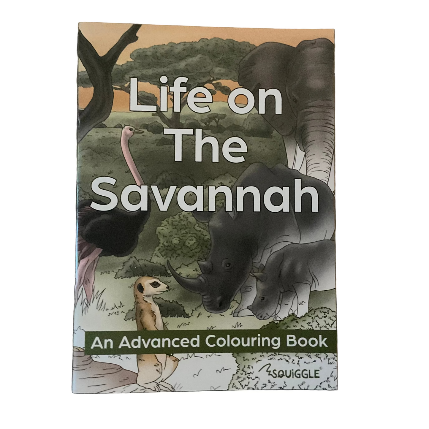 Advanced scene colouring book