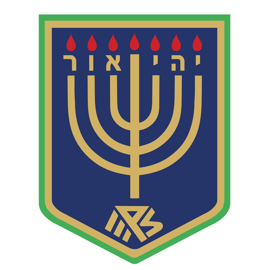 Menorah Primary School - Year 3